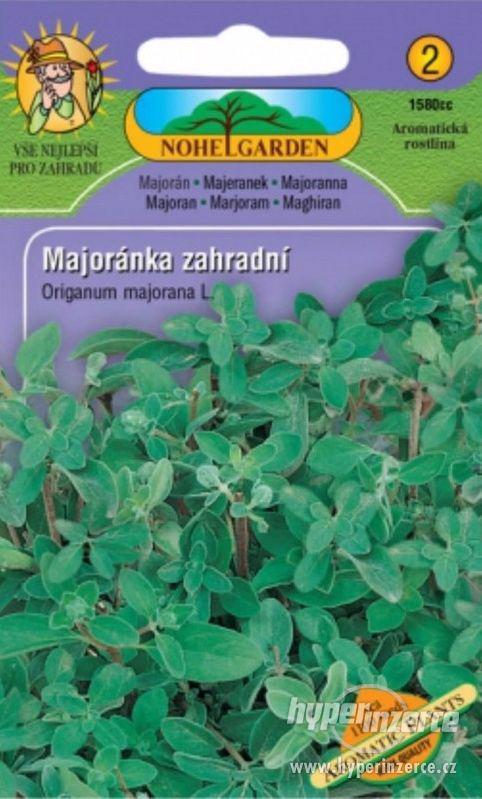 Majoránka zahradní (semena) www.levna-semena.cz - foto 1