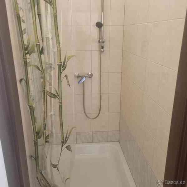 Pronájem nebytových, skladovacích prostor - foto 10