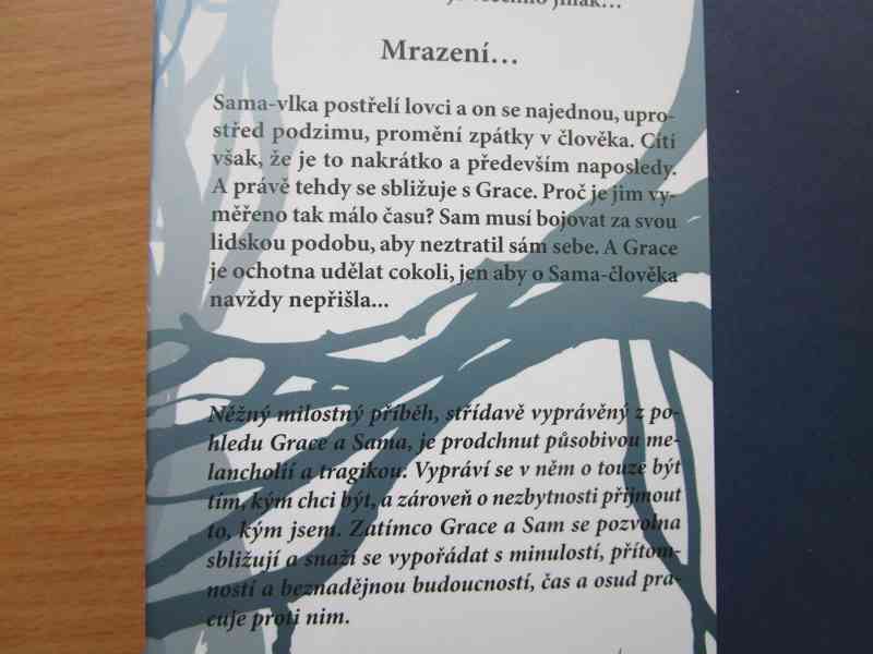 Nová kniha Mrazení - bestseller pro dívky - foto 4