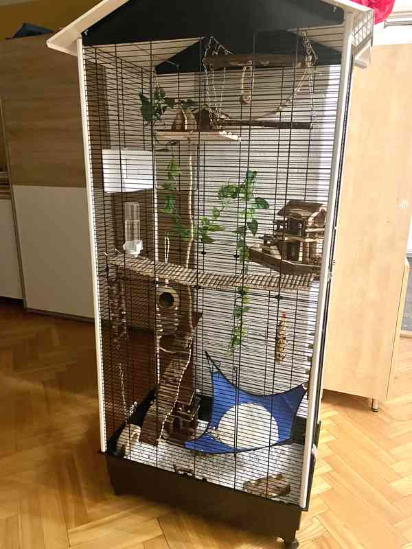 Vakoveverky - POUZE OSOBNÍ ODBĚR - foto 2