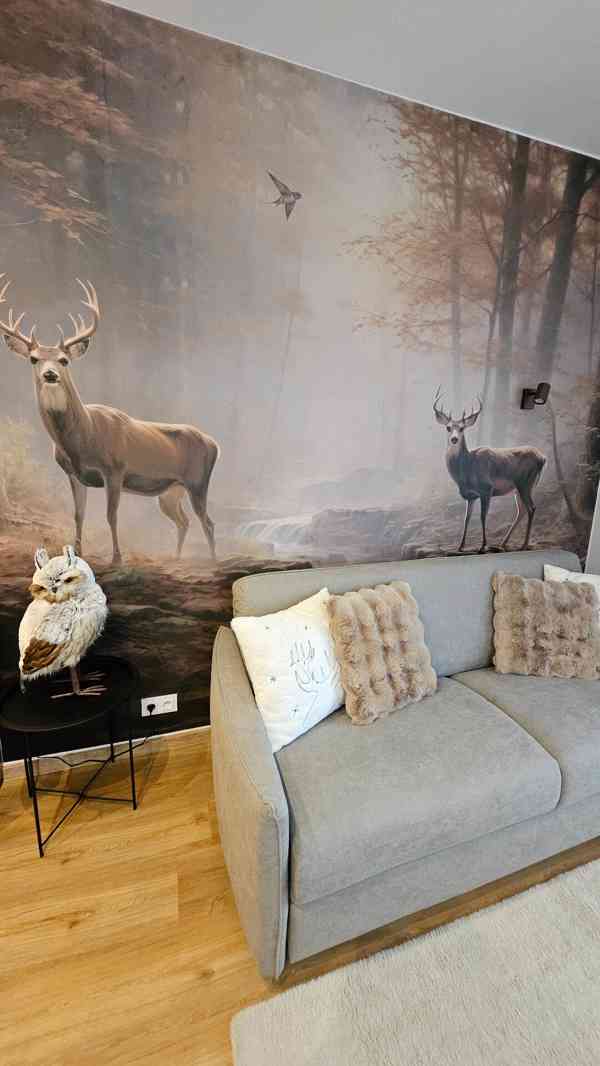 Ubytování – apartmán ( Residence Mariánská Hora ) - foto 8