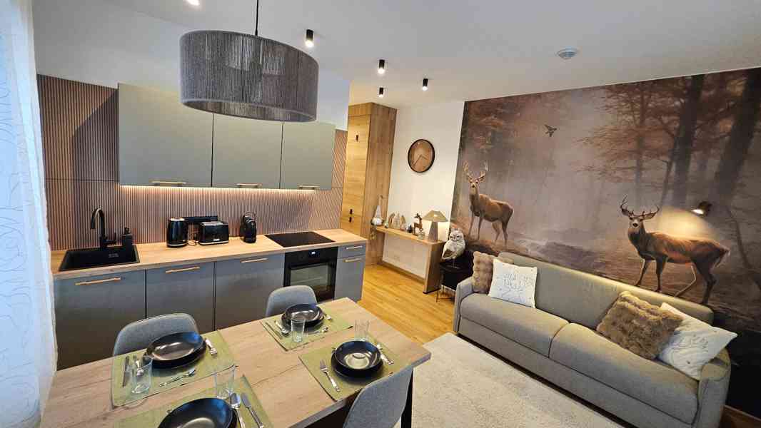 Ubytování – apartmán ( Residence Mariánská Hora ) - foto 4