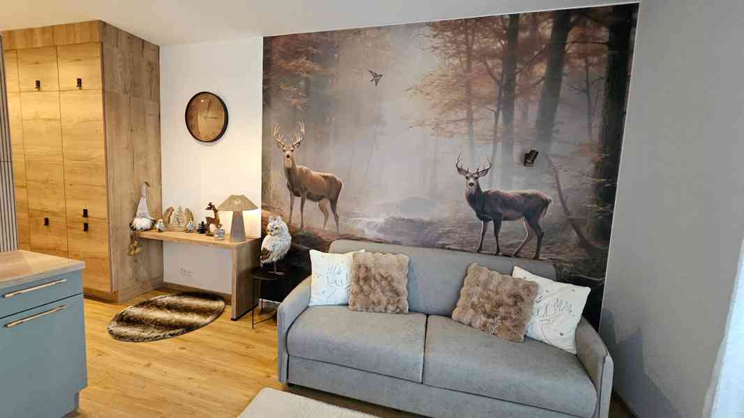 Ubytování – apartmán ( Residence Mariánská Hora ) - foto 2