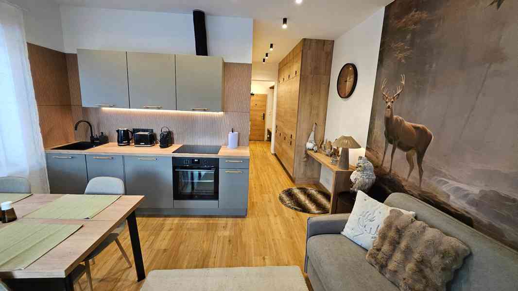 Ubytování – apartmán ( Residence Mariánská Hora ) - foto 3