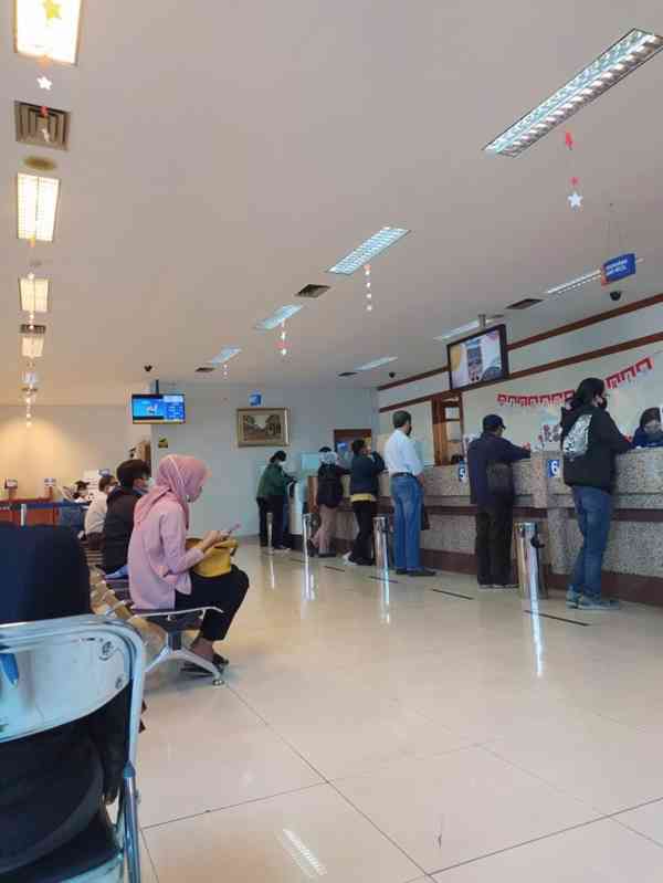 Zisková investice  - foto 4