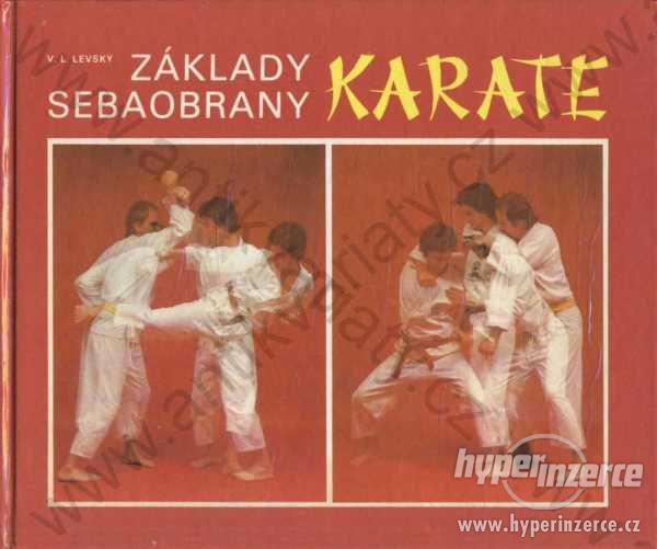 Základy sebeobrany Karate - foto 1