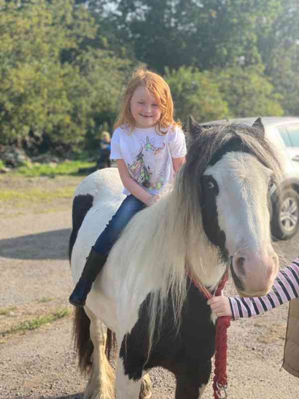 13,2 Gypsy Cob Mare Horses - foto 2