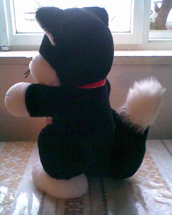 Krásné kočky pod stromeček - foto 2