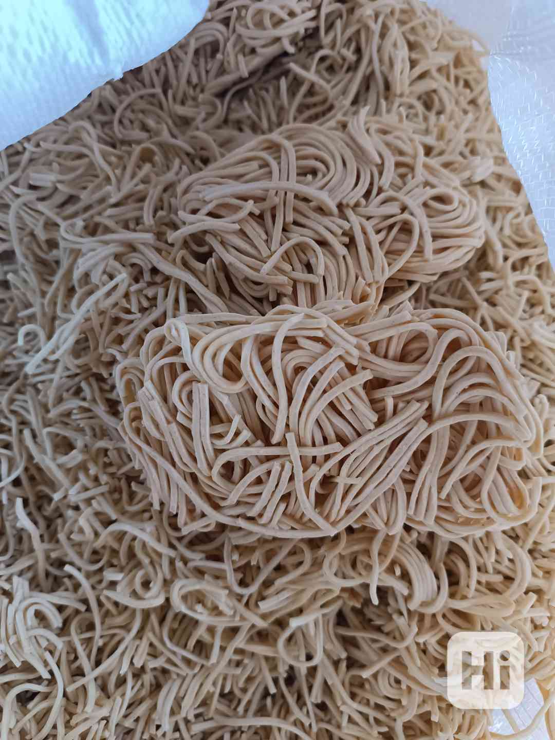 Nudle krmné  - foto 1