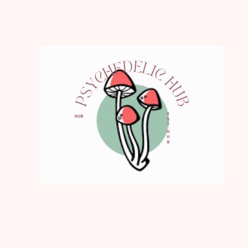 BUY MUSHROOMS ONLINE - foto 3