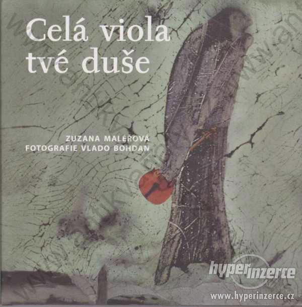Celá viola tvé duše Zuzana Maléřová X - Egem, 2005 - foto 1