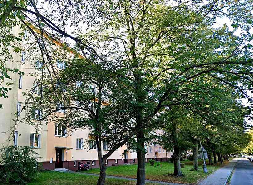 Byt 2+1 družstevní OV Poruba centrum.