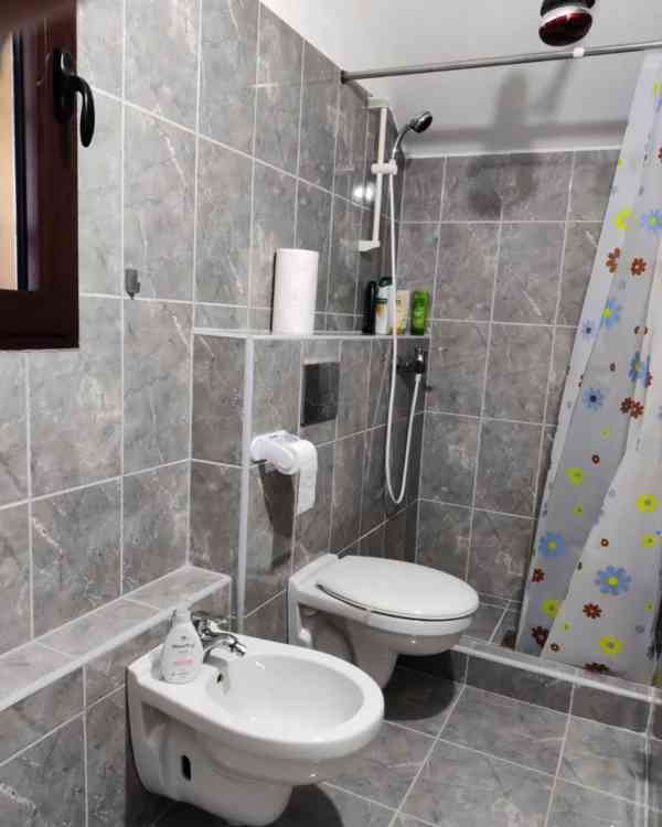 Moderní rodinný dům v blízkosti města Niš - Jižní Srbsko - foto 7