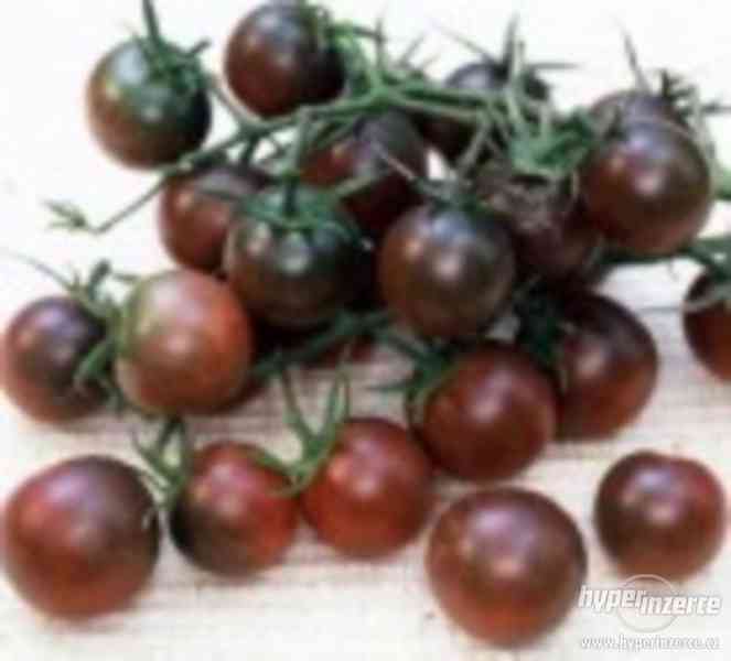 Rajče Black cherry - semena 11,- Kč - foto 1