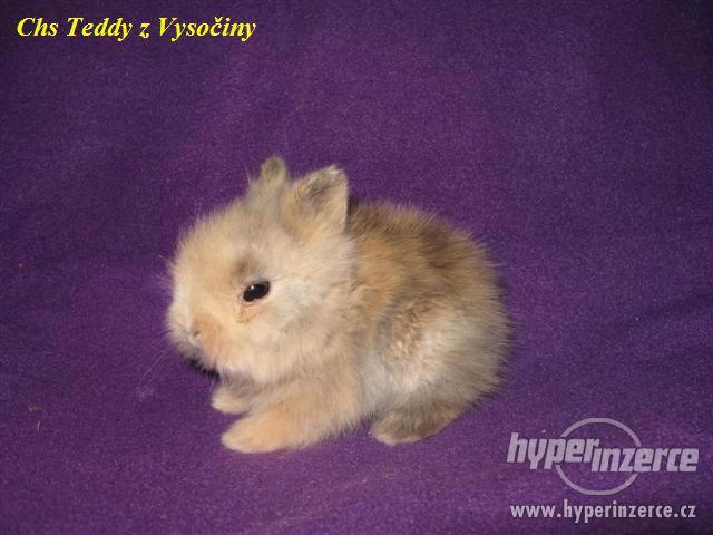 Teddy miminka s VP - foto 4