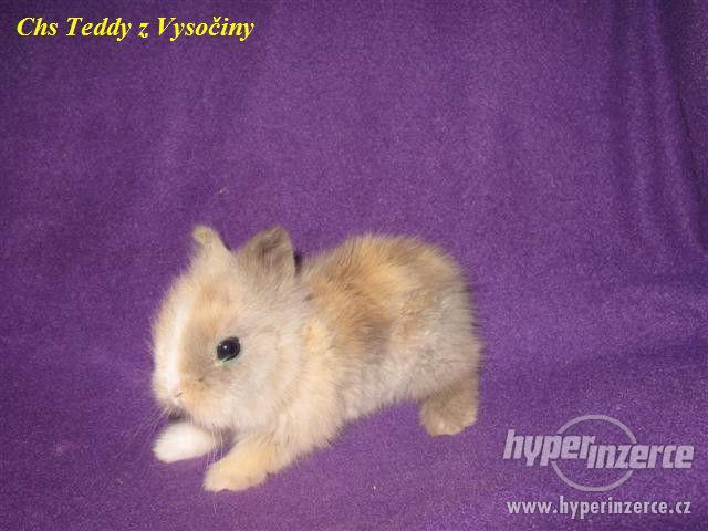Teddy miminka s VP - foto 5