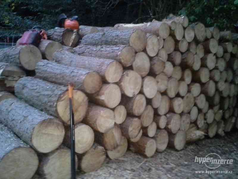 levné dřevo na topení - foto 3