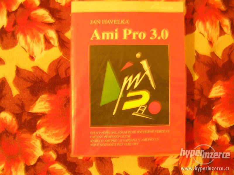 Ami Pro 3.0 - foto 1