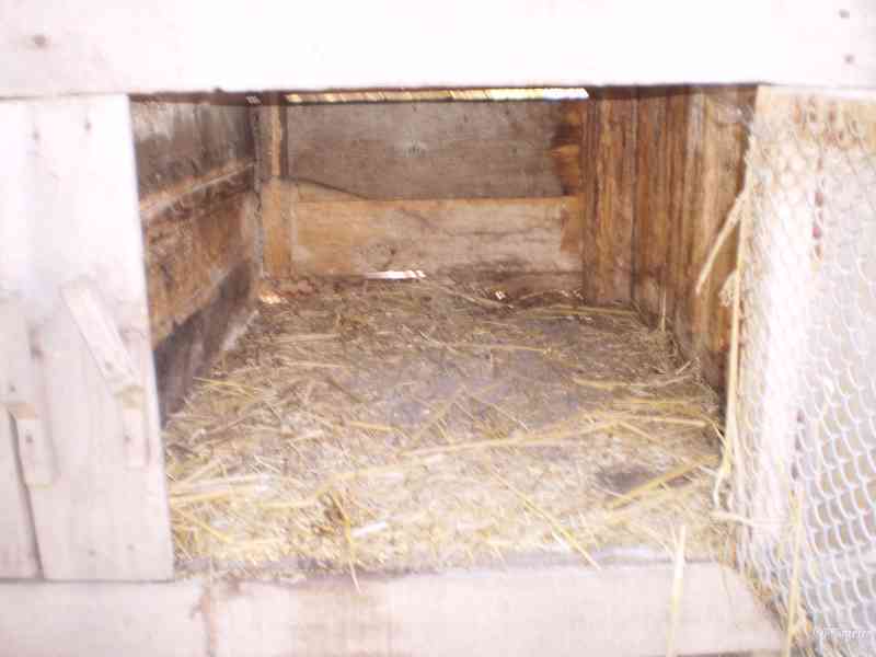 Venkovní králíkárna - foto 4