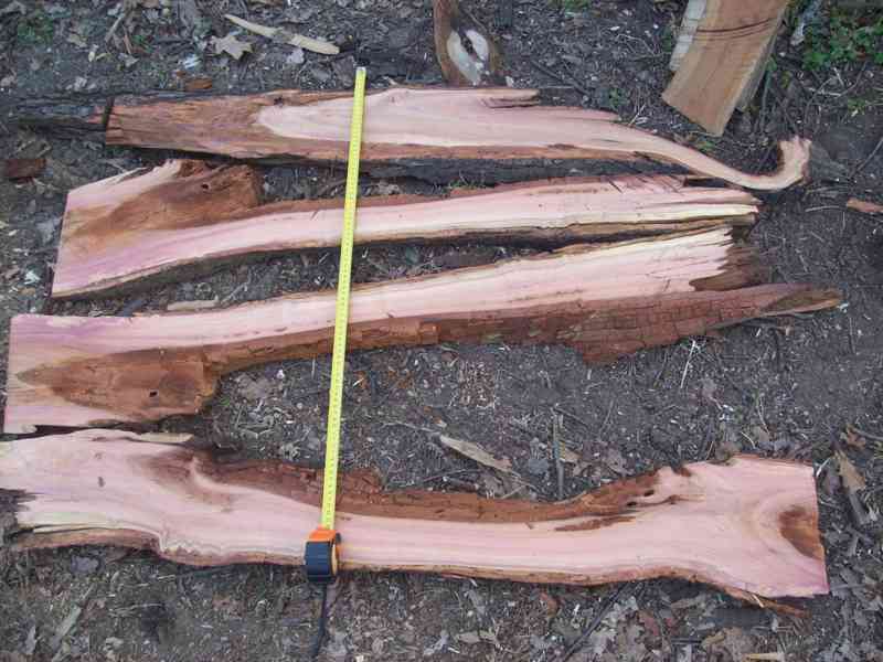 Švestka fošny 4cm,švestkové dřevo na zalití do pryskyřice. - foto 5