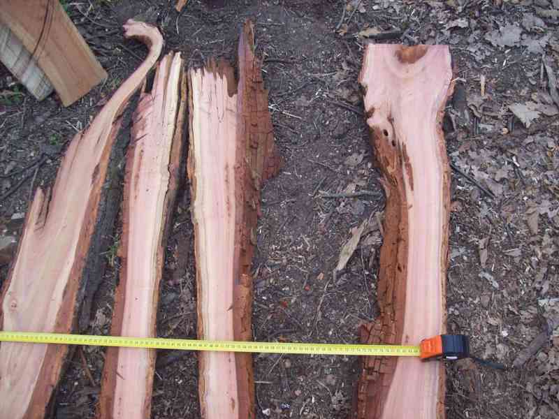 Švestka fošny 4cm,švestkové dřevo na zalití do pryskyřice. - foto 7