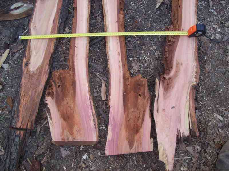 Švestka fošny 4cm,švestkové dřevo na zalití do pryskyřice. - foto 6