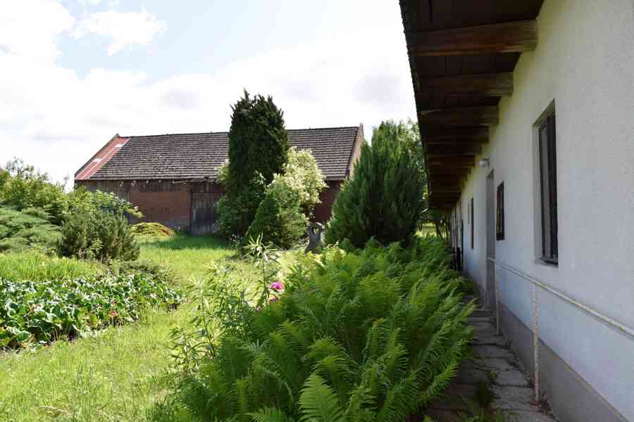 Starý Ples - prodej rodinného domu s pozemkem 2375 m2 - foto 3