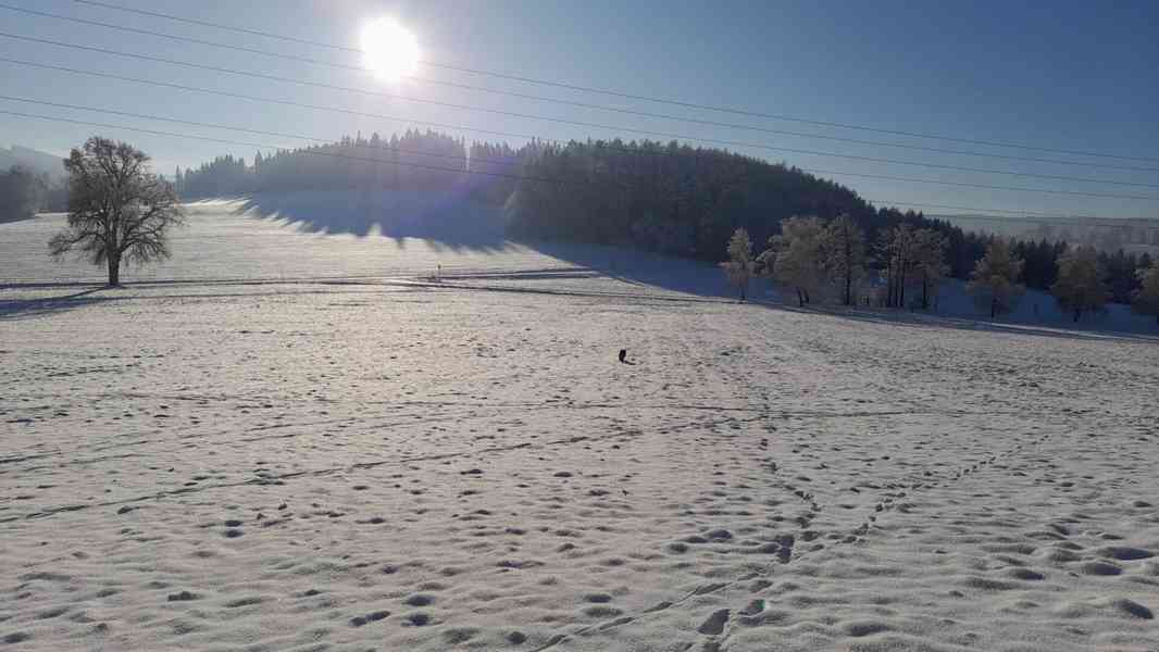 Ubytování Apartmány Ševcovna - Šumava - foto 28