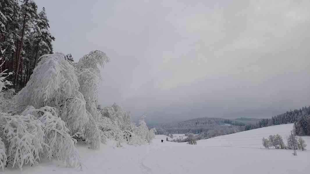 Ubytování Apartmány Ševcovna - Šumava - foto 26