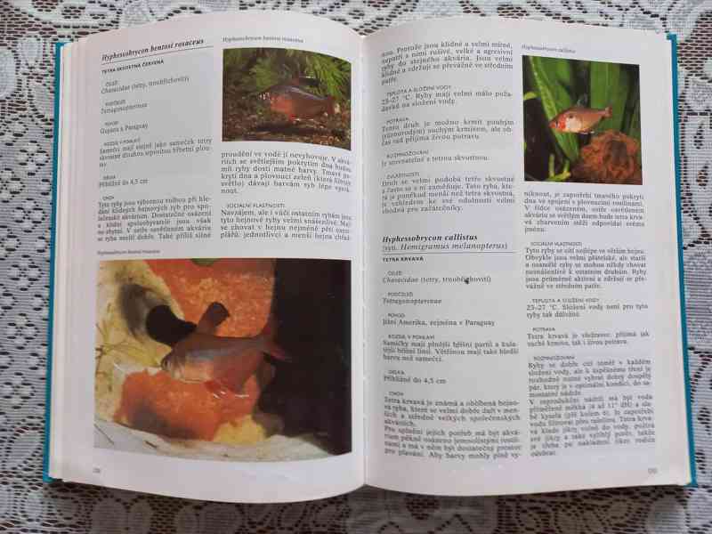 encyklopedie, odborné knihy - foto 22