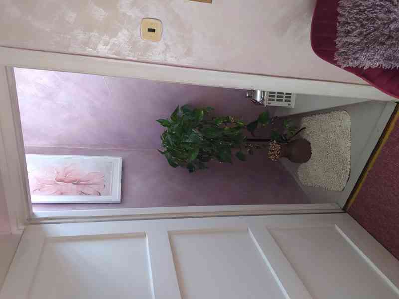 RD - foto 16