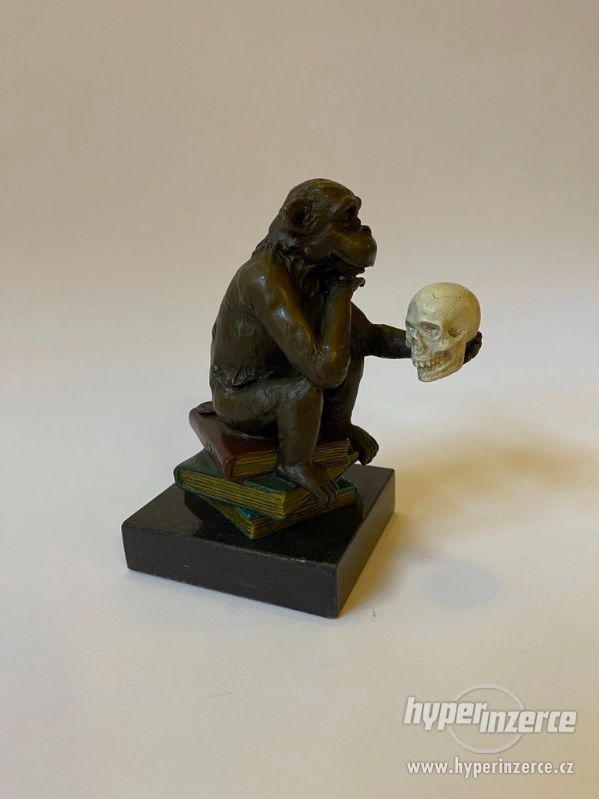 Filozofování opice Darwin - bronzová socha - foto 1
