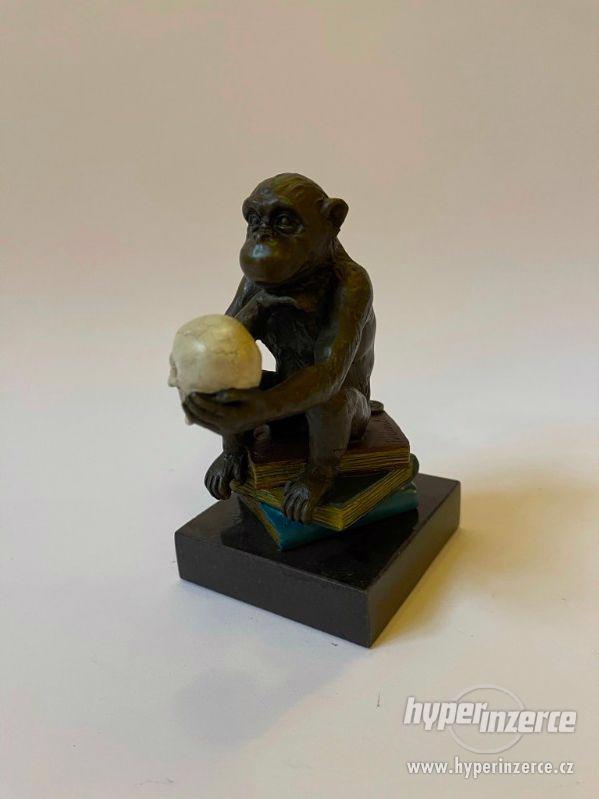 Filozofování opice Darwin - bronzová socha - foto 2