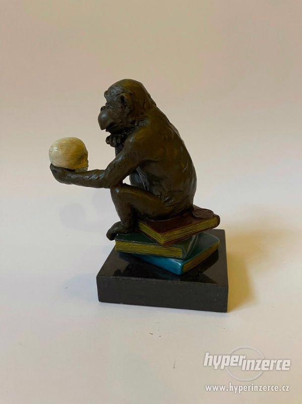 Filozofování opice Darwin - bronzová socha - foto 3
