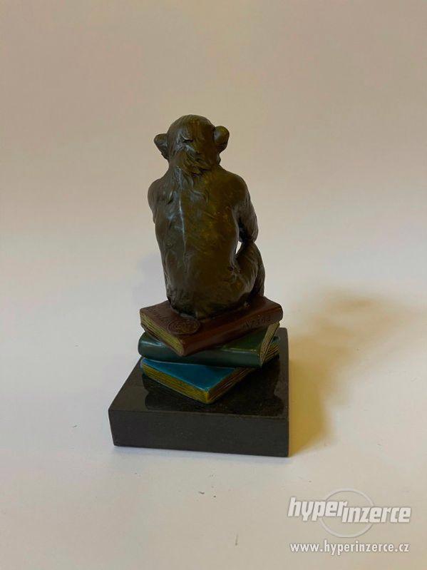 Filozofování opice Darwin - bronzová socha - foto 4