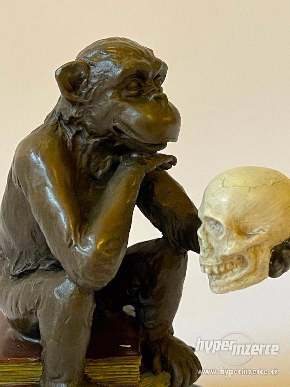 Filozofování opice Darwin - bronzová socha - foto 5
