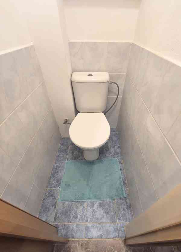 Králova Lhota - byt 3+1 s garáží, stáním a zahrádkou - foto 13