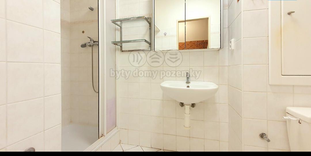 Pronájem - foto 2