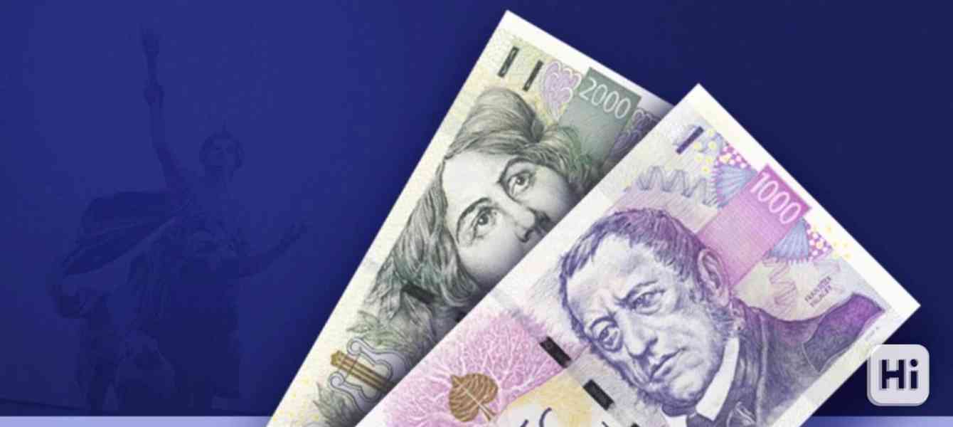 Finanční pomoc od soukromého investora