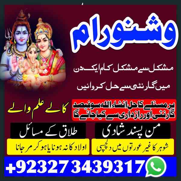 amil baba in usa, family issues, domestic problems, family
