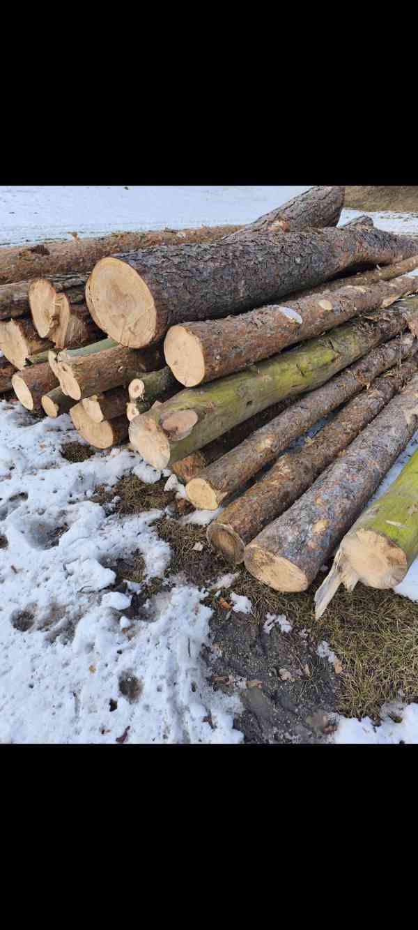 Palivové dřevo  - foto 2