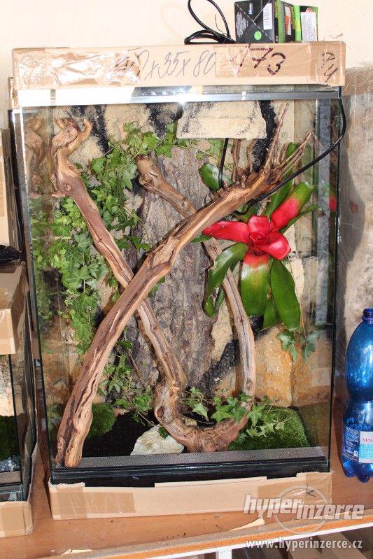 Terárium vybavené pro agamu,hada,gekona chameleona - foto 9
