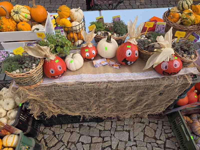 Dýně okrasné, konzumní, halloweenské/mexické - foto 6