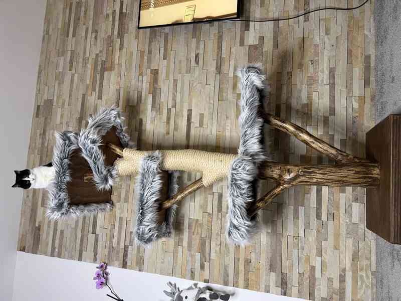 Kočičí stromy  - foto 3