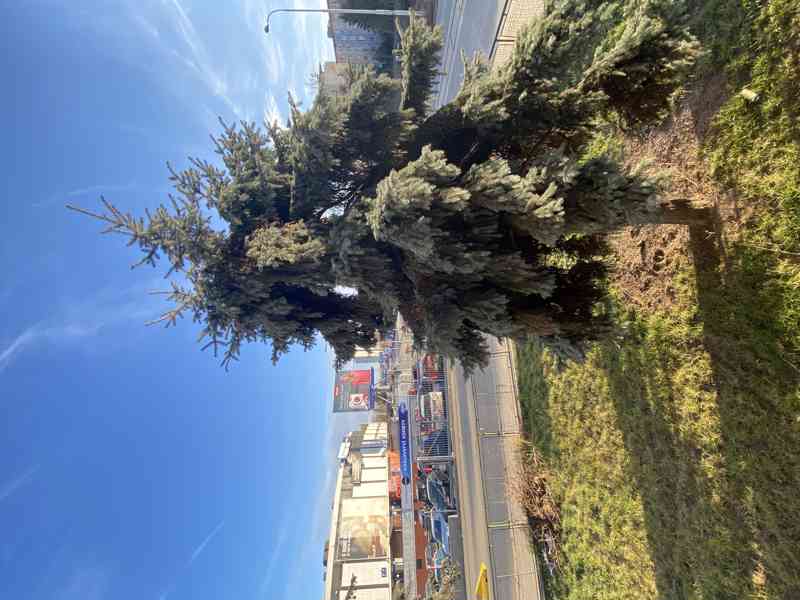 NABÍDKA PRONÁJMU BYTU 3+1 O CP CCA 81,10 M2 S BALKÓNEM, BRNO - foto 12