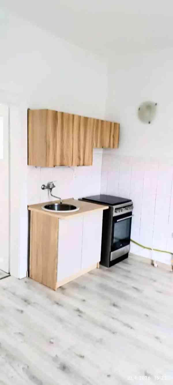 Pronájem bytu 1+1 43 m² - foto 4