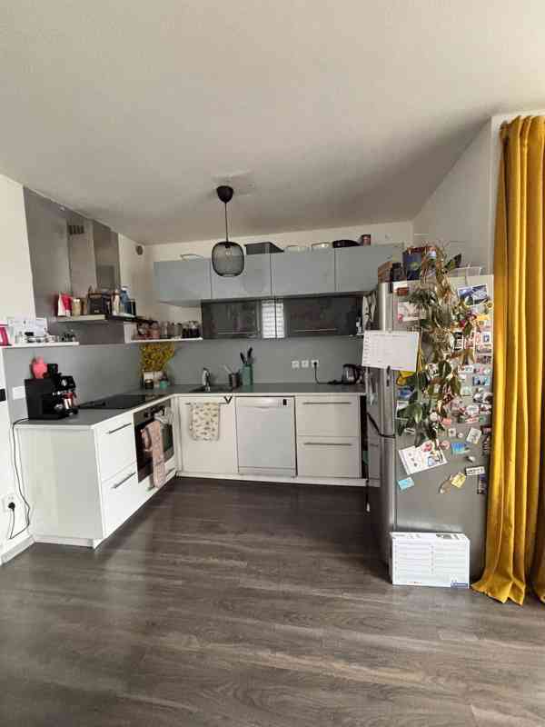 Pronájem 2+44 Strašnice, "Na Palouku" - foto 10