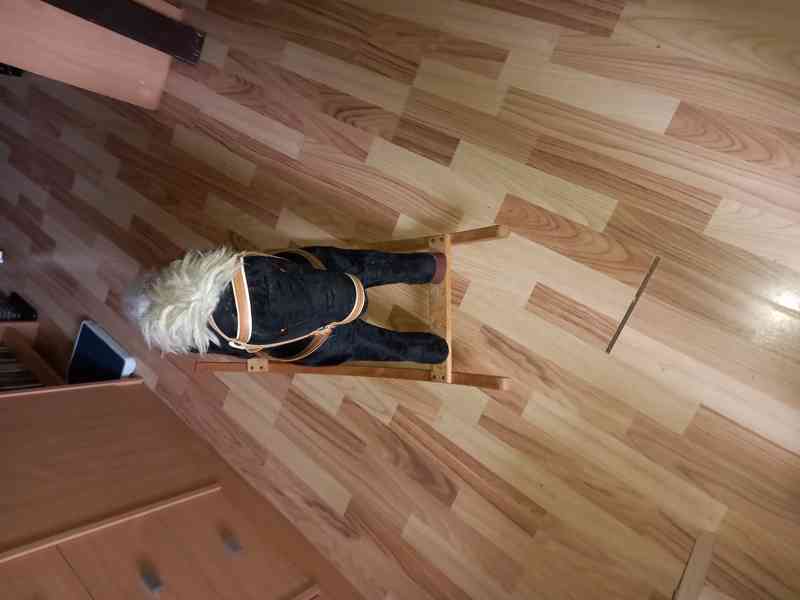 Prodám houpajícího koníka - foto 2