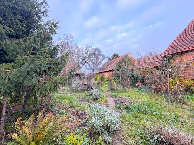 PRODEJ RODINNÉHO DOMU 3+1+JÍDELNA V HRUŠOVANECH U BRNA  - foto 18