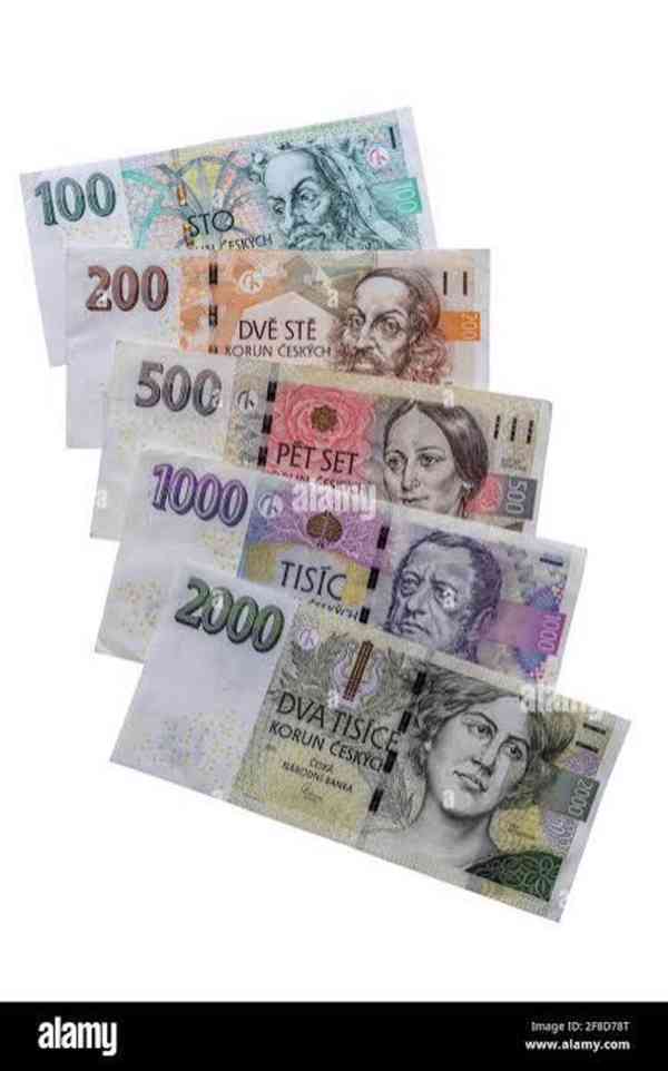 Nabídka speciální pomoci  - foto 3